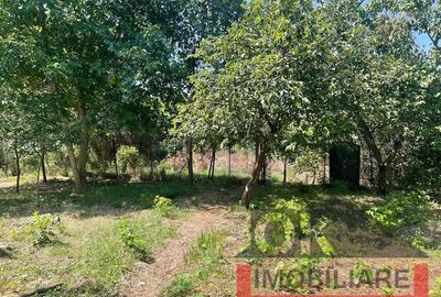 Casă cu 4 camere cu Teren 680 Mp în 3 Insule - 16