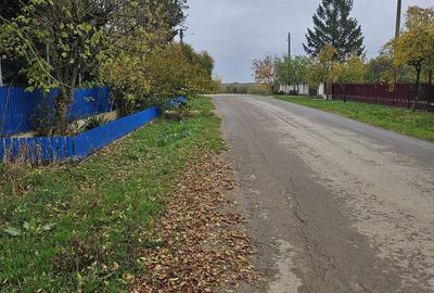 Teren de 18469 mp, în Butimanu