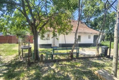 Casă cu 3 camere cu Teren 1500 Mp în Tormac - 1