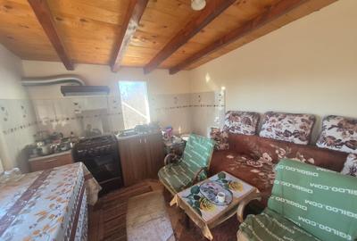 Casă cu 5 camere cu Teren 6817 Mp în Zănești - 10