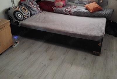 Casă cu 4 camere cu Teren 2897 Mp în Horia