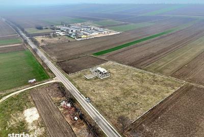 Teren de 6900 mp, în Vlădeni - 1