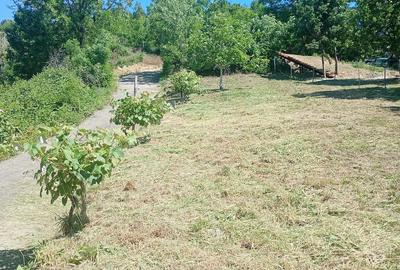 Teren de 866 mp, în Cicârlău