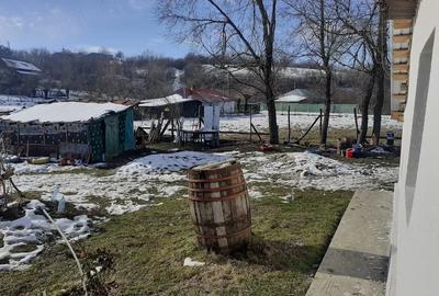 Casă cu Teren 1592 Mp în Schitu - 6