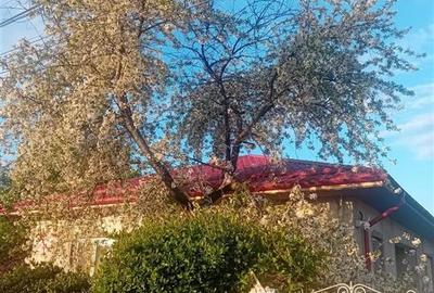 Casă individuală cu 3 camere cu Canalizare în Vadu Săpat - 3