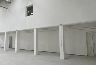 Spațiu industrial, de 500 mp, în Ștefăneștii de Jos - 6