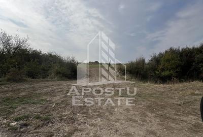 Teren Construcții intravilan de 758 mp, în Torontalului - 1