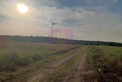 Teren în Nord