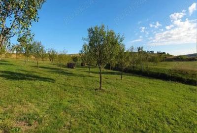 Teren de 11935 mp, în Aluniș - 1