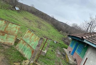 Teren de 12000 mp, în Central
