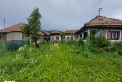 Casă cu 2 camere în Cândești