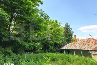 Casă cu 4 camere cu Teren 3000 Mp în Răducăneni - 1