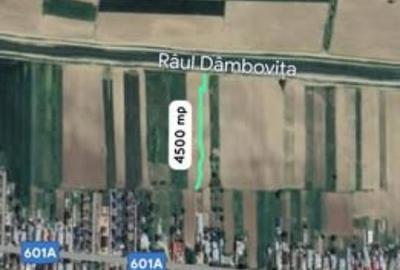 Teren extravilan de 6400 mp, în Joița - 1