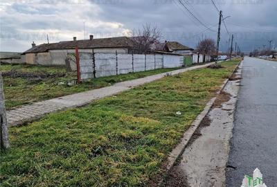 Teren Construcții intravilan de 4500 mp, în Cogealac - 8