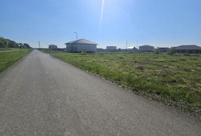 Teren Construcții intravilan de 1164 mp, în Ghiroda - 4