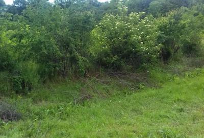 Teren de 2473 mp, în Bălteni - 3