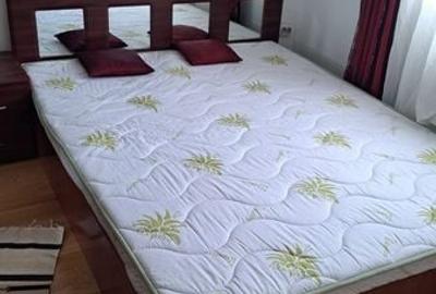 Apartament cu 2 camere decomandat în Zamostea - 2