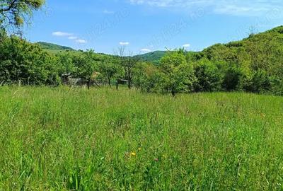Teren de 2276 mp, în Drăgăneasa - 2