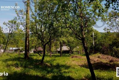 Teren de 1000 mp, în Stâlpeni - 4