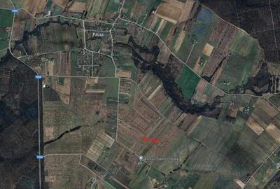 Teren de 1000 mp, în Păușa - 4