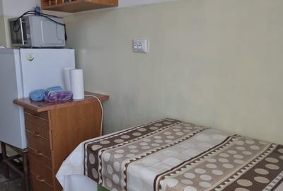 Apartament cu 2 camere semidecomandat în Chier - 2