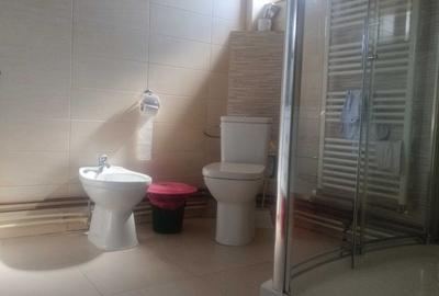 Spațiu comercial, de 365 mp, în Central - 3