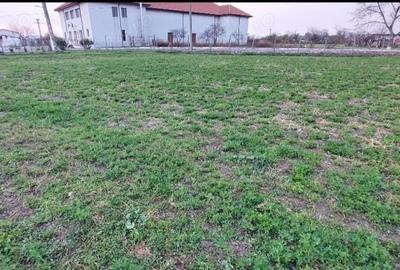 Teren de 1260 mp, în Ceamurlia de Jos - 2