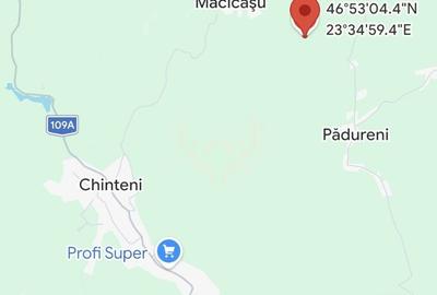Teren agricol extravilan de 2900 mp, în Măcicașu