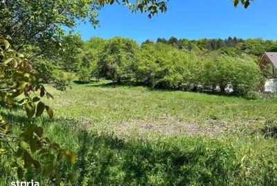 Teren de 4300 mp, în Baciu - 3