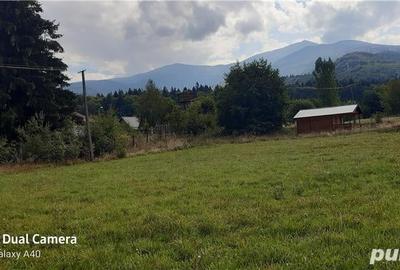 Teren de 700 mp, în Sâmbăta de Sus - 4