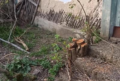 Teren de 46000 mp, în Călineștii de Sus - 2