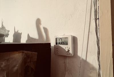 Apartament cu 2 camere nedecomandat în Exterior Vest
