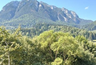 Teren de 8200 mp, în Plaiul Foii