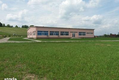 Spațiu comercial, de 2,500 mp, în Micești - 8