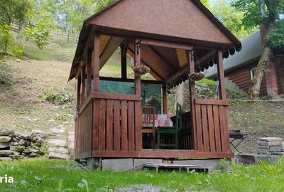 Casă cu 2 camere în Ocolișel