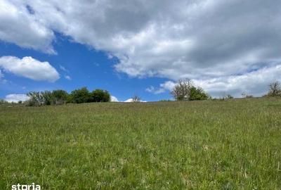 Teren de 4000 mp, în Șura Mare - 1