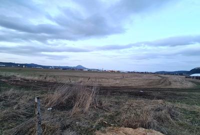 Teren Construcții intravilan de 1049 mp, în Pănicel - 10