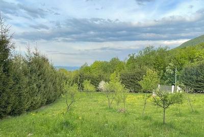 Teren de 3700 mp, în Piatra