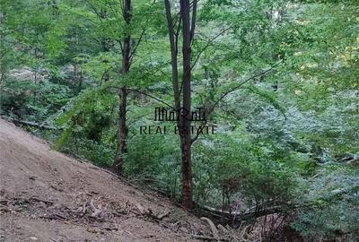 Teren de 19800 mp, în Baia de Criș - 7