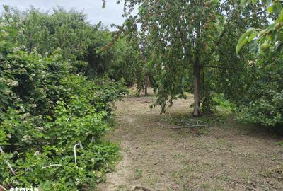 Casă cu 3 camere cu Teren 540 Mp în Bujac - 8