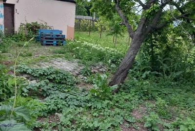 Spațiu comercial, de 72 mp, în Vest - 5