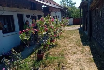 Casă cu 3 camere în Turcinești