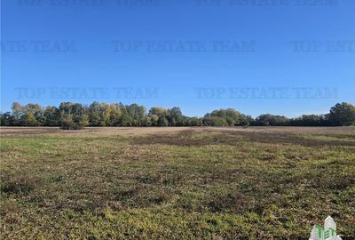 Teren agricol intravilan de 10000 mp, în Dârvari - 2