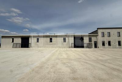 Spațiu industrial, de 700 mp, în Bădeuți - 5