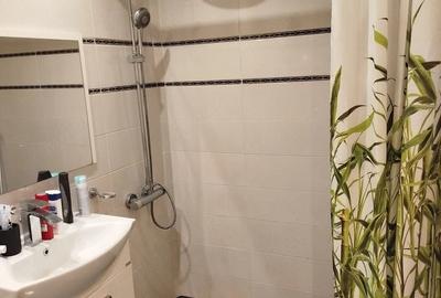 Apartament cu 2 camere decomandat în Sebastian