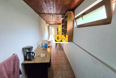 Spațiu comercial, de 40 mp, în Cetate - 7