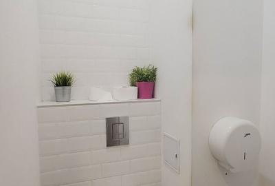 Spațiu industrial, de 570 mp, în Theodor Pallady - 14