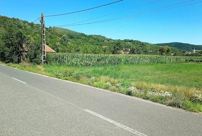 Teren de 1400 mp, în Săbișa