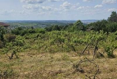 Teren de 1500 mp, în Bucium