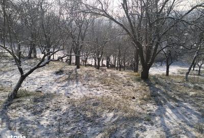Teren de 5950 mp, în Scorțeni - 7
